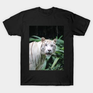 Jungle Cat T-Shirt